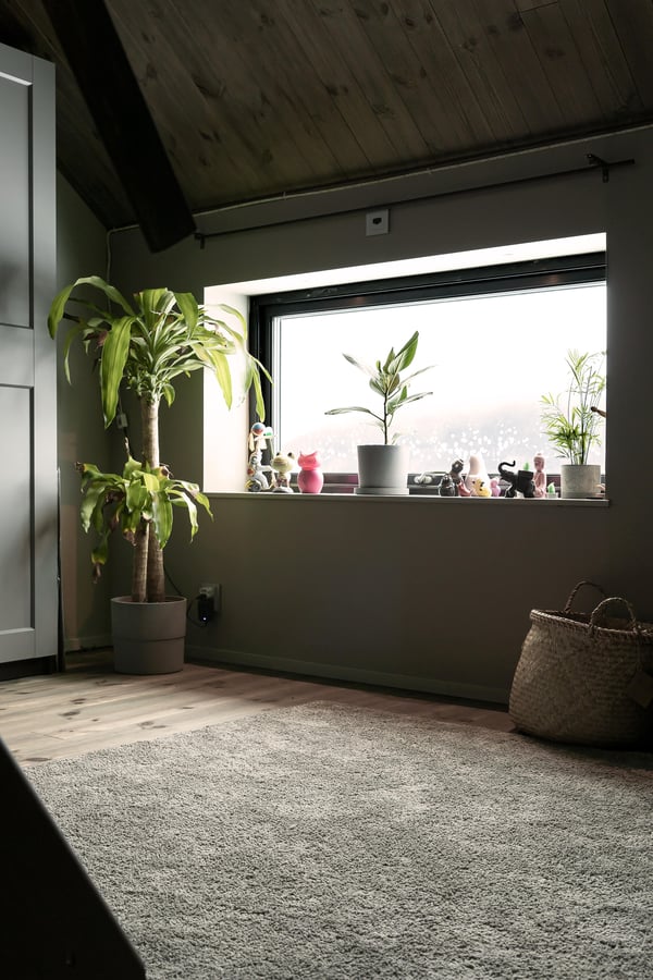 Englandsgården Svenskafönster 20230203-10