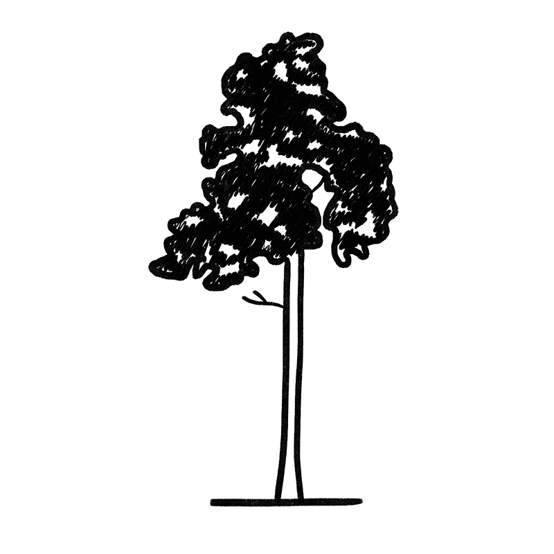 SF_Tall